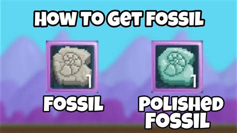 polished fossil growtopia
